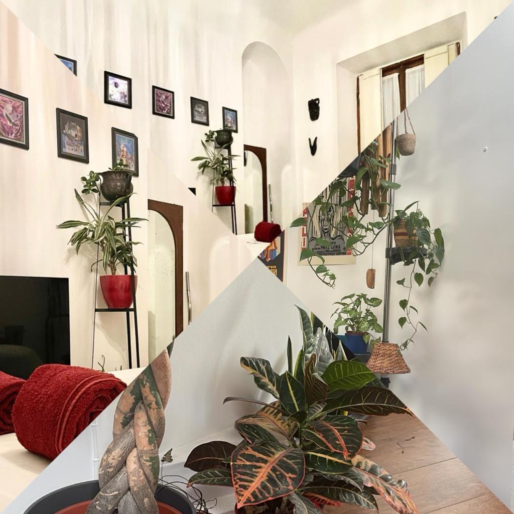 Apartmán La Stanza Della Giungla Milán Exteriér fotografie